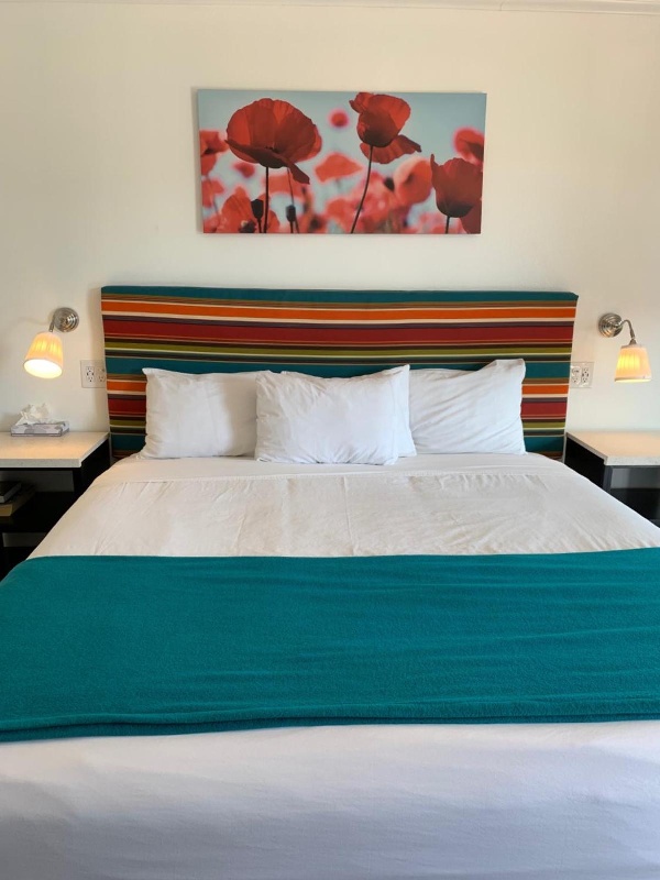 Sandyland Reef Inn image 3